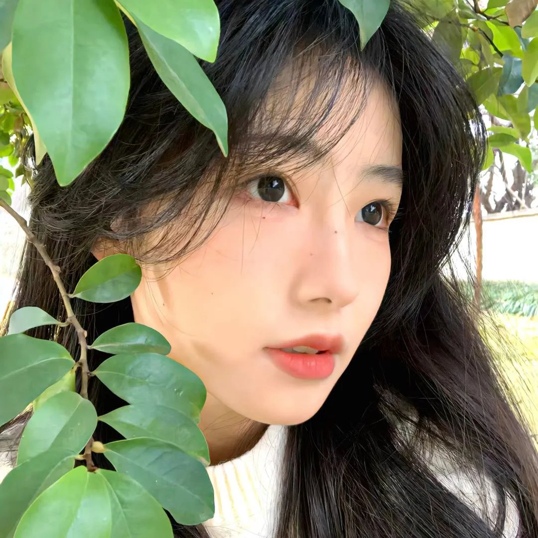 霓裳魅影